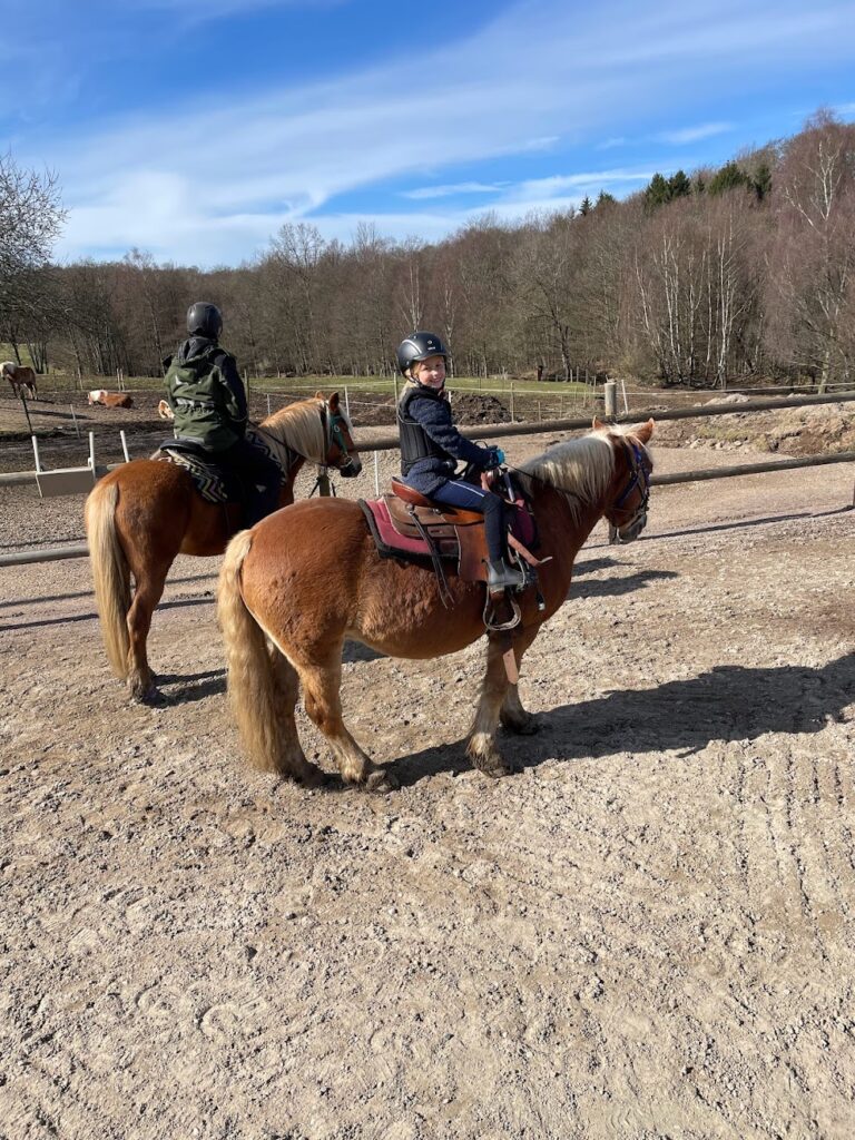 Saga på halflinger